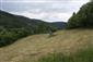 Nížinné a podhorské kosné lúky (15.6.2014)